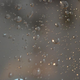 Illustration for article titled Shooting Challenge: Bokeh, Gallery 4